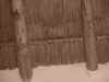 MVC-239L.JPG (58633 bytes)